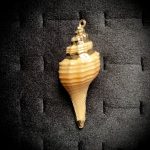 پلاک حلزون دریایی  کد 111