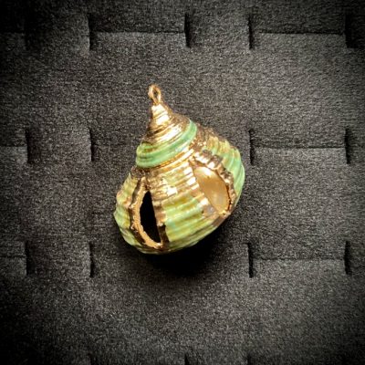پلاک حلزون دریایی  سبز رنگ کد 115