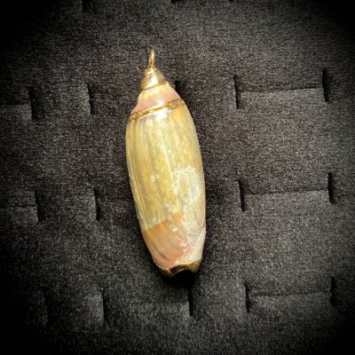 پلاک صدف و ستاره دریایی کد 122