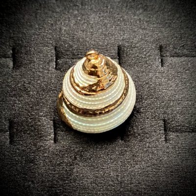 پلاک حلزون سفید دریایی کد 124