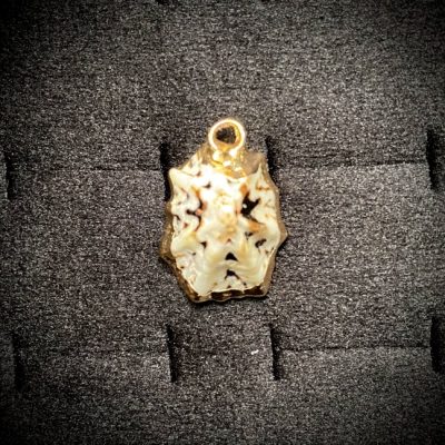 پلاک صدف دریایی کد 130