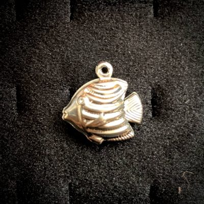 پلاک استیل ماهی طلایی و نقره ای